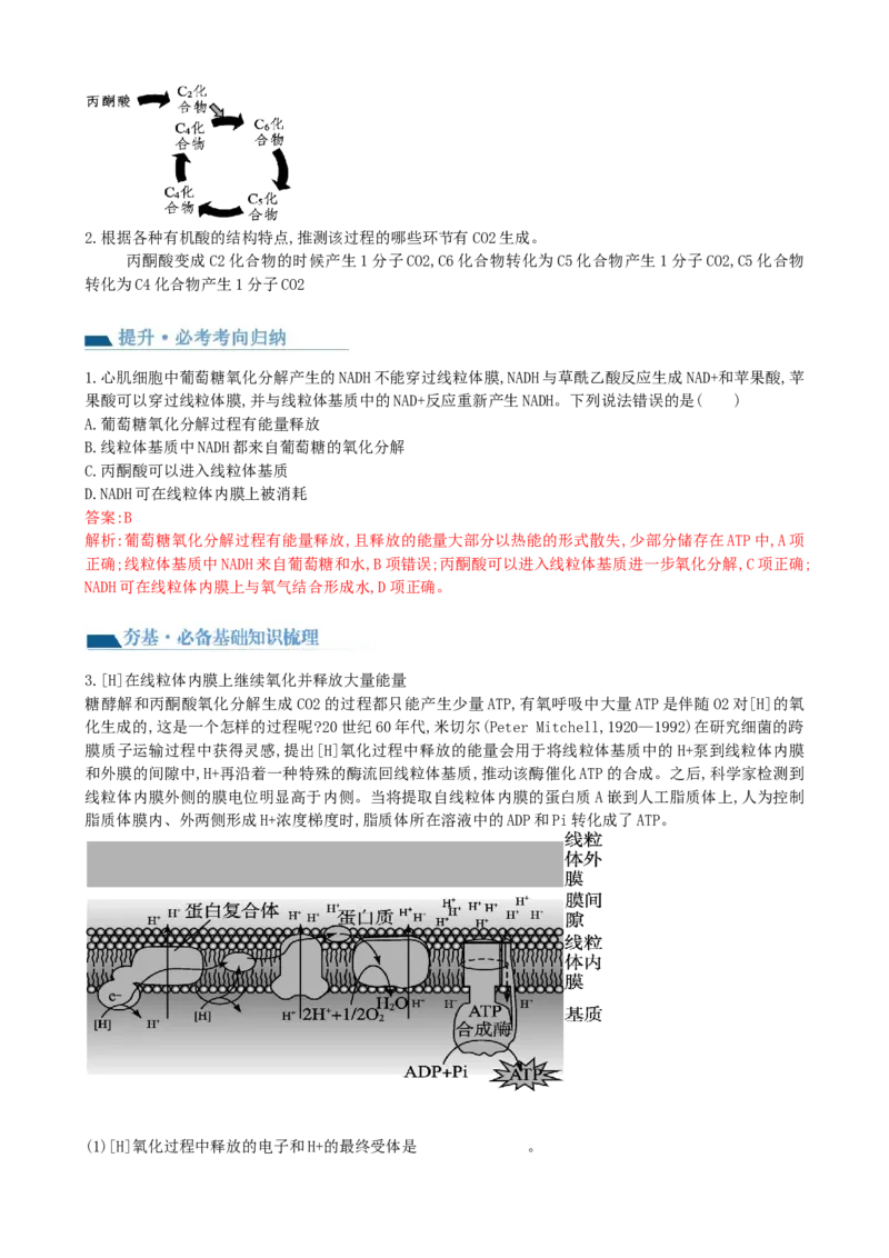 第11讲细胞代谢综合分析（讲义）（教师版）_新高考复习资料_2024年新高考复习资料_一轮复习资料_完2024年高考生物一轮复习讲练测(课件+讲义+练习)（新高考）_讲义+练习
