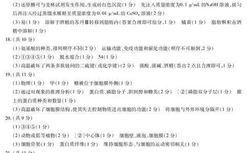 生物答案_2024年11月试卷_1120河南省天一大联考2024&mdash;2025学年（上）高一年级期中考试_河南省部分学校2024-2025学年高一上学期期中考试生物试题含答案