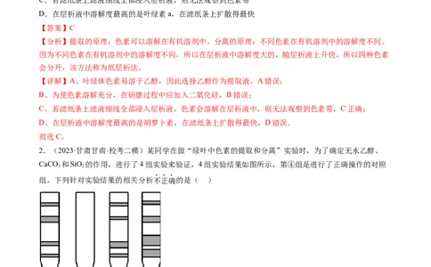 第10.1讲光合色素和光合作用原理（练习）（解析版）_新高考复习资料_2024年新高考复习资料_一轮复习资料_完2024年高考生物一轮复习讲练测(课件+讲义+练习)（新高考）_讲义+练习