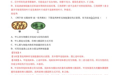第10.1讲光合色素和光合作用原理（练习）（解析版）_新高考复习资料_2024年新高考复习资料_一轮复习资料_完2024年高考生物一轮复习讲练测(课件+讲义+练习)（新高考）_讲义+练习