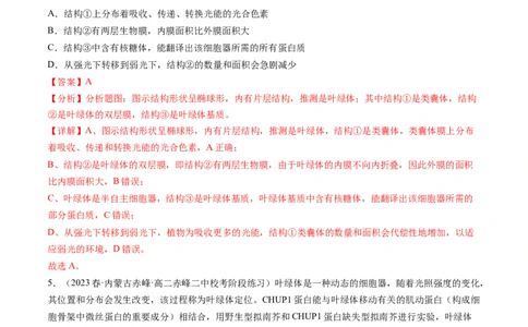 第10.1讲光合色素和光合作用原理（练习）（解析版）_新高考复习资料_2024年新高考复习资料_一轮复习资料_完2024年高考生物一轮复习讲练测(课件+讲义+练习)（新高考）_讲义+练习