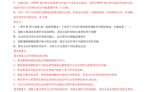 第10.1讲光合色素和光合作用原理（练习）（解析版）_新高考复习资料_2024年新高考复习资料_一轮复习资料_完2024年高考生物一轮复习讲练测(课件+讲义+练习)（新高考）_讲义+练习