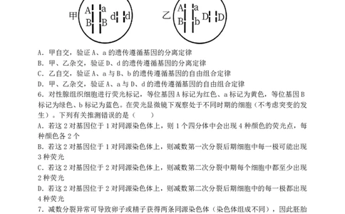 生物-东北育才高中2025-2026学年度高一下学期第一次月考_2026年04月高一试卷_260412东北育才高中2025-2026学年度高一下学期第一次月考