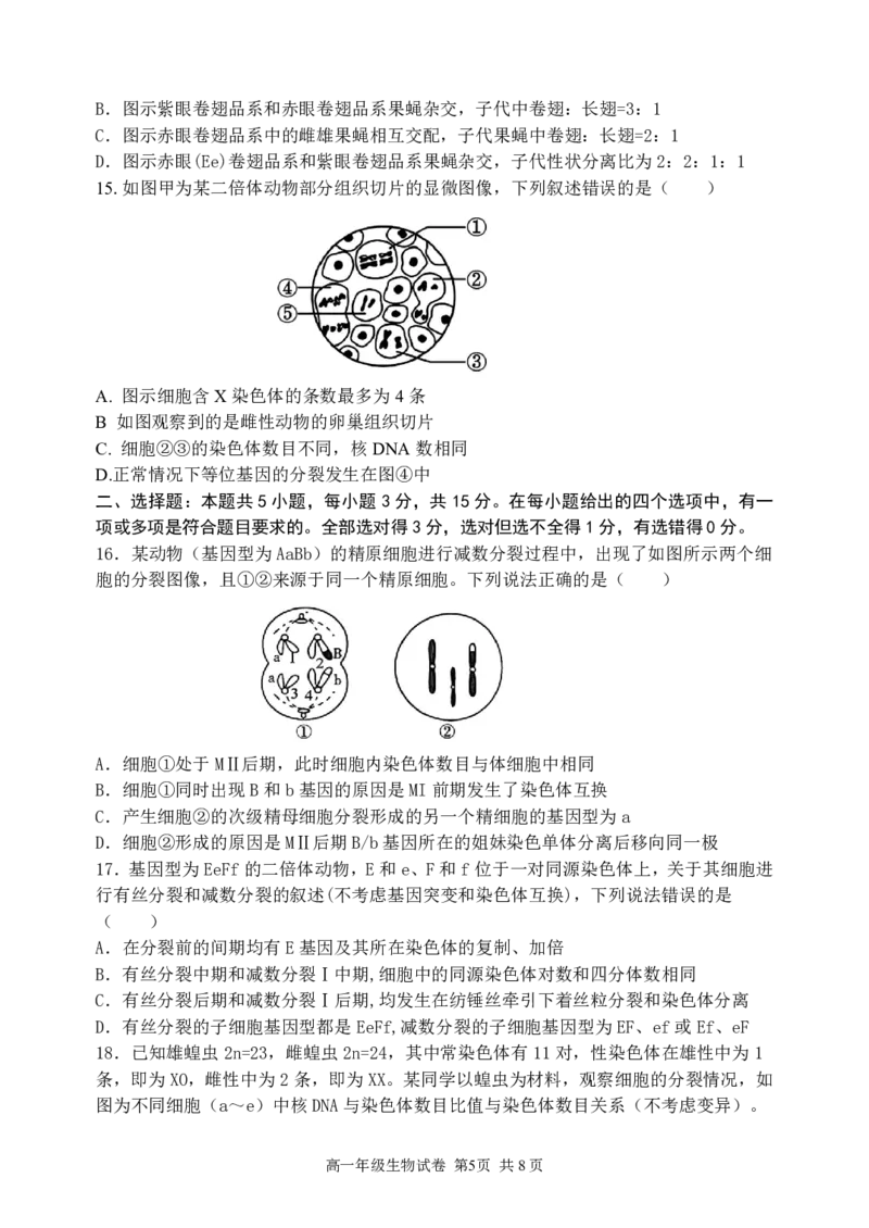 生物-东北育才高中2025-2026学年度高一下学期第一次月考_2026年04月高一试卷_260412东北育才高中2025-2026学年度高一下学期第一次月考