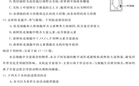 生物试卷_2025年10月高一试卷_251023浙江省强基联盟2025-2026学年高一上学期10月联考A卷（全）_浙江省强基联盟2025-2026学年高一上学期10月联考A卷生物PDF版含解析