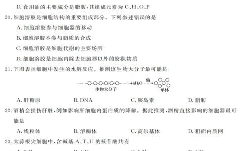 生物试卷_2025年10月高一试卷_251023浙江省强基联盟2025-2026学年高一上学期10月联考A卷（全）_浙江省强基联盟2025-2026学年高一上学期10月联考A卷生物PDF版含解析