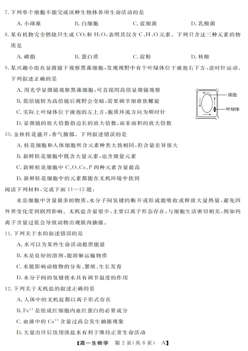 生物试卷_2025年10月高一试卷_251023浙江省强基联盟2025-2026学年高一上学期10月联考A卷（全）_浙江省强基联盟2025-2026学年高一上学期10月联考A卷生物PDF版含解析