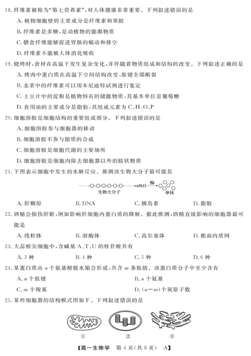 生物试卷_2025年10月高一试卷_251023浙江省强基联盟2025-2026学年高一上学期10月联考A卷（全）_浙江省强基联盟2025-2026学年高一上学期10月联考A卷生物PDF版含解析