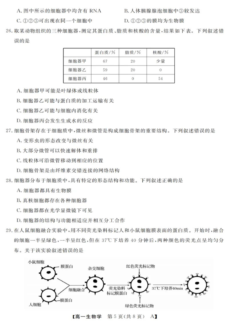 生物试卷_2025年10月高一试卷_251023浙江省强基联盟2025-2026学年高一上学期10月联考A卷（全）_浙江省强基联盟2025-2026学年高一上学期10月联考A卷生物PDF版含解析