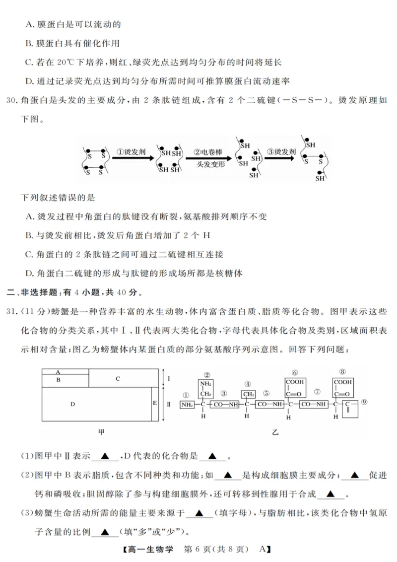 生物试卷_2025年10月高一试卷_251023浙江省强基联盟2025-2026学年高一上学期10月联考A卷（全）_浙江省强基联盟2025-2026学年高一上学期10月联考A卷生物PDF版含解析