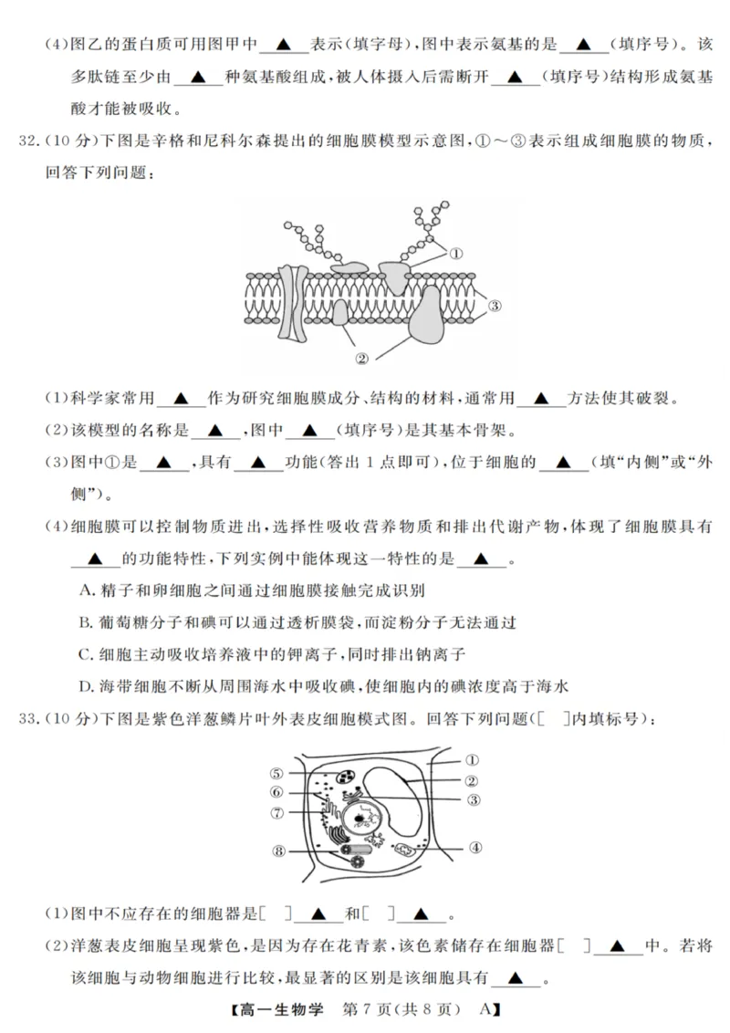 生物试卷_2025年10月高一试卷_251023浙江省强基联盟2025-2026学年高一上学期10月联考A卷（全）_浙江省强基联盟2025-2026学年高一上学期10月联考A卷生物PDF版含解析