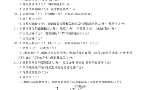 生物答案_2024年12月试卷_1219金太阳河北省百万联考2024-2025学年高一上学期12月联考_河北省百万联考2024-2025学年高一上学期12月联考生物试题