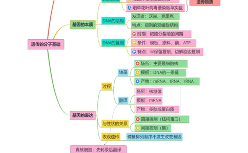 第09讲基因的本质和表达（配套讲义）（解析版）_2025年新高考资料_二轮复习_01高考语文等多个文件_上好课2025年高考生物二轮复习讲练测（新高考通用）