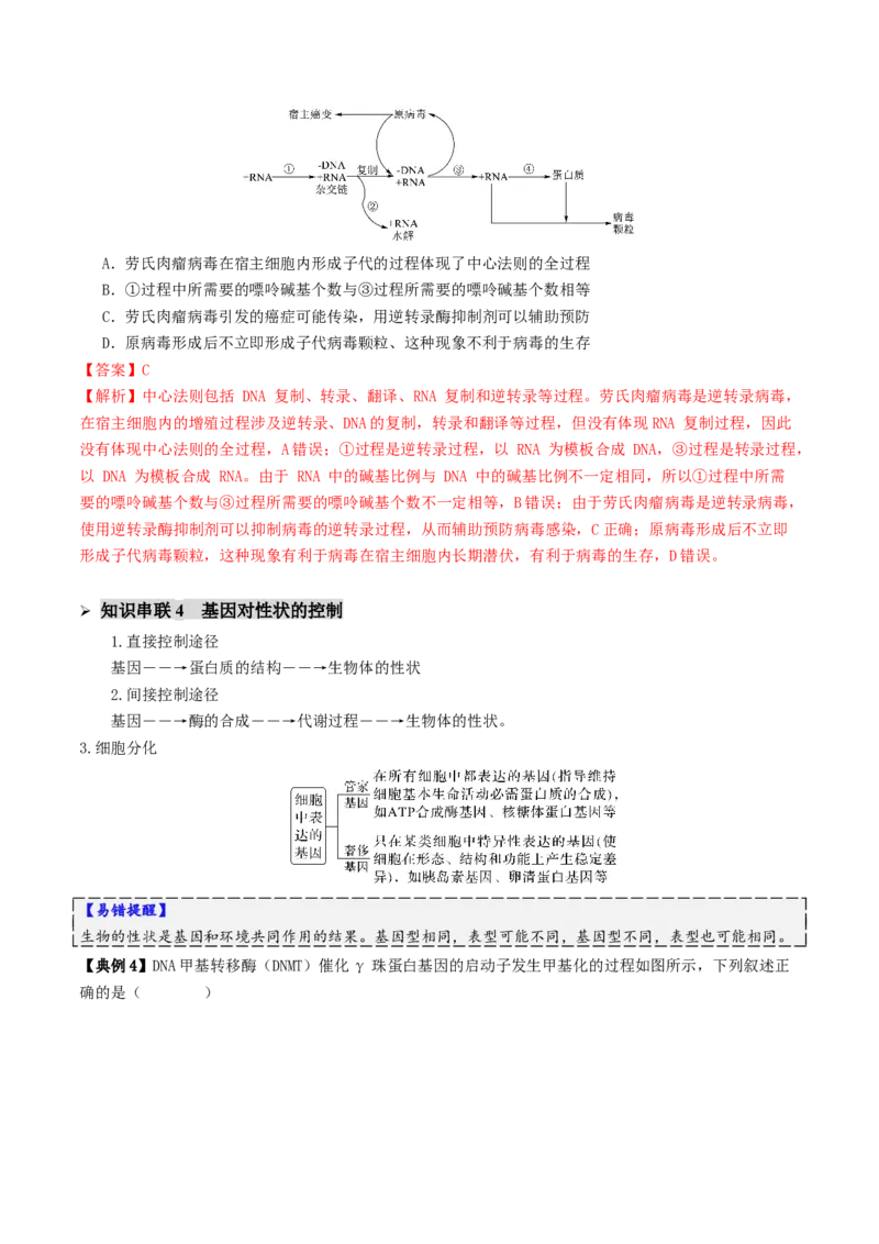 第09讲基因的本质和表达（配套讲义）（解析版）_2025年新高考资料_二轮复习_01高考语文等多个文件_上好课2025年高考生物二轮复习讲练测（新高考通用）
