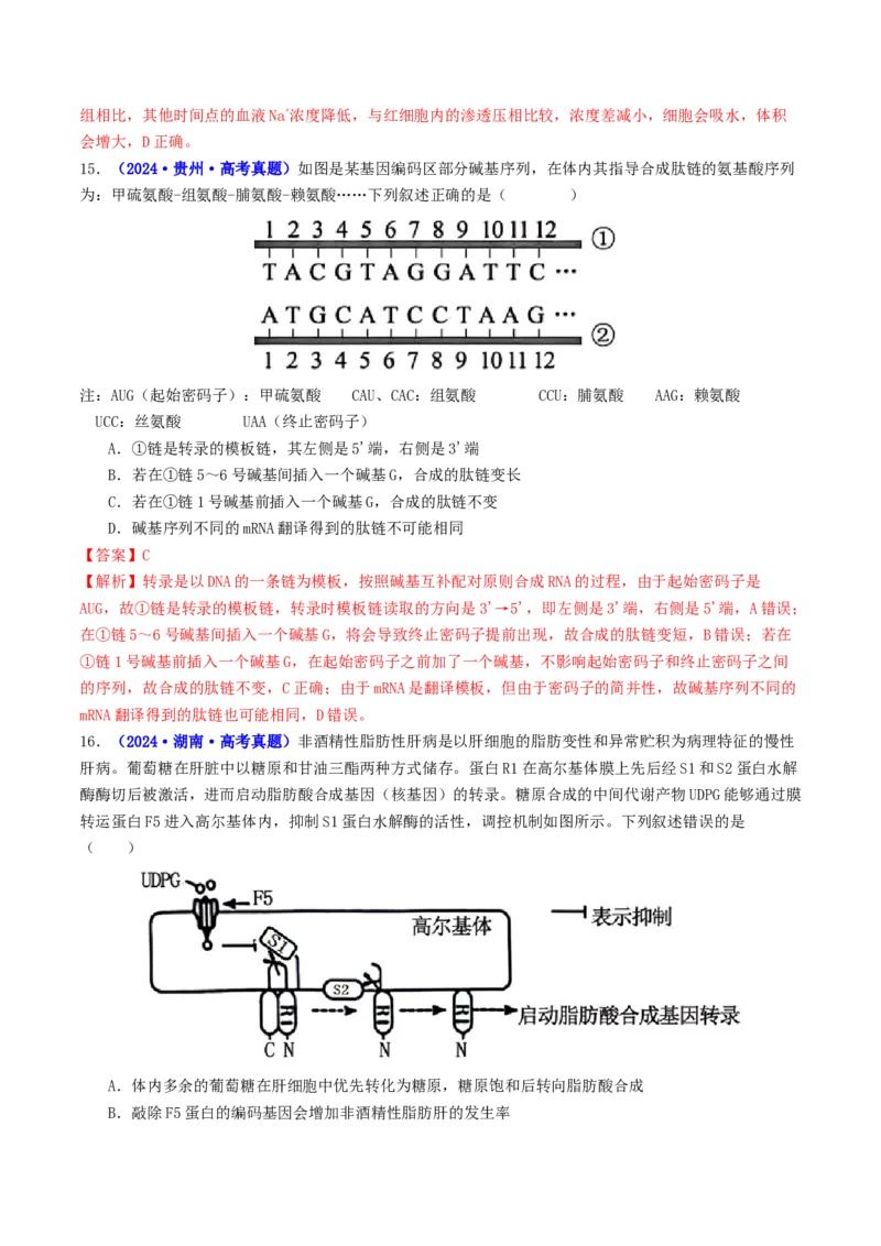 第09讲基因的本质和表达（配套讲义）（解析版）_2025年新高考资料_二轮复习_01高考语文等多个文件_上好课2025年高考生物二轮复习讲练测（新高考通用）