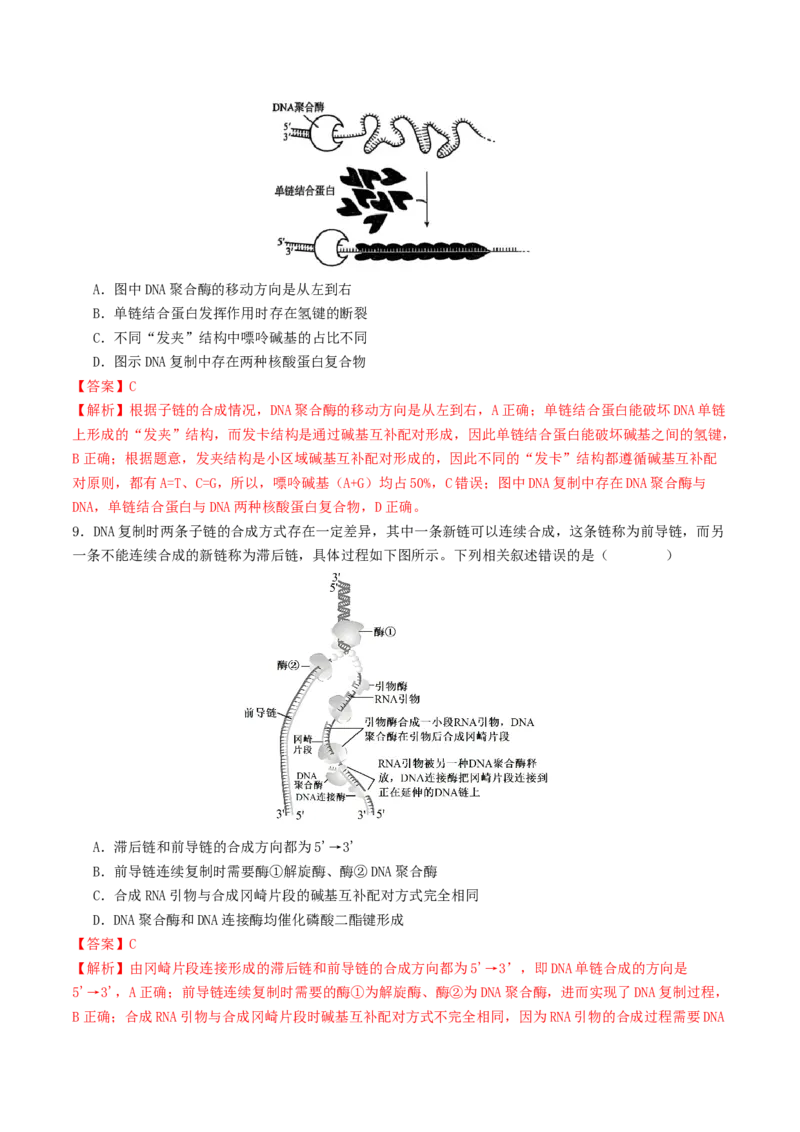 第09讲基因的本质和表达（配套讲义）（解析版）_2025年新高考资料_二轮复习_01高考语文等多个文件_上好课2025年高考生物二轮复习讲练测（新高考通用）