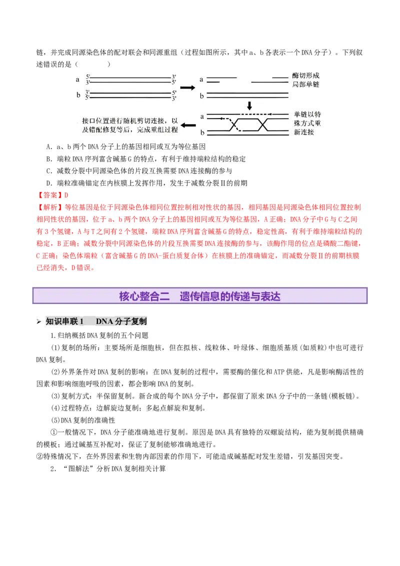 第09讲基因的本质和表达（配套讲义）（解析版）_2025年新高考资料_二轮复习_01高考语文等多个文件_上好课2025年高考生物二轮复习讲练测（新高考通用）