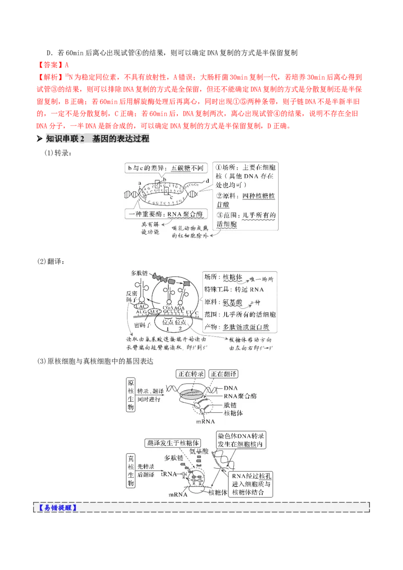 第09讲基因的本质和表达（配套讲义）（解析版）_2025年新高考资料_二轮复习_01高考语文等多个文件_上好课2025年高考生物二轮复习讲练测（新高考通用）