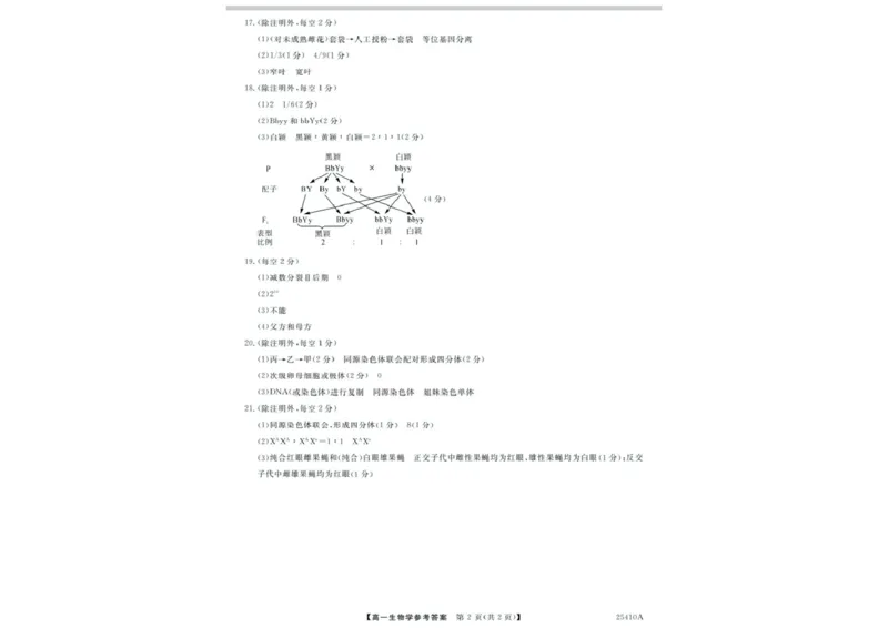生物答案_2025年04月试卷_0409甘肃省平凉市静宁县静宁县文萃中学2024-2025学年高一下学期4月月考_甘肃省平凉市静宁县文萃中学2024-2025学年高一下学期4月月考生物试题（扫描版有答案）