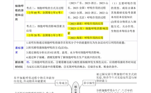 第09讲细胞呼吸（讲义）（原卷版）_2025年新高考资料_一轮复习_2025年高考生物一轮复习讲练测（新教材新高考）