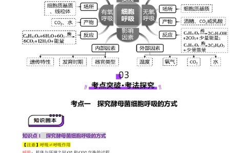 第09讲细胞呼吸（讲义）（原卷版）_2025年新高考资料_一轮复习_2025年高考生物一轮复习讲练测（新教材新高考）