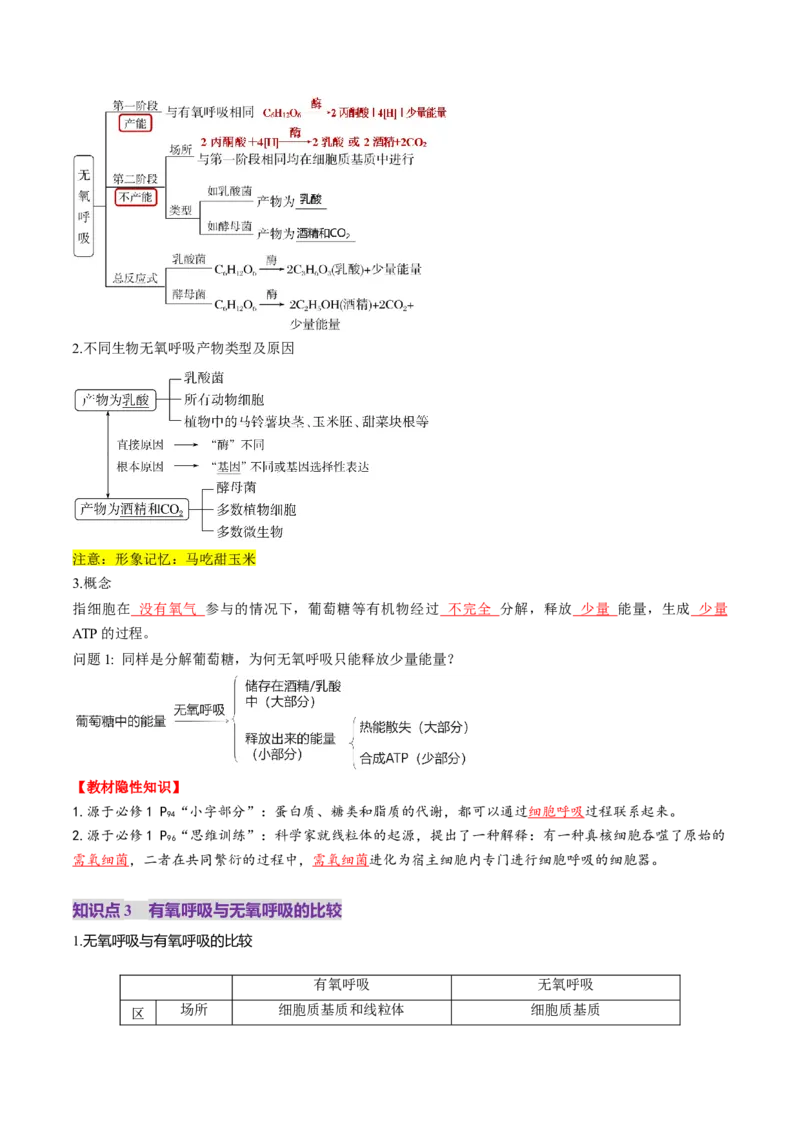 第09讲细胞呼吸（讲义）（原卷版）_2025年新高考资料_一轮复习_2025年高考生物一轮复习讲练测（新教材新高考）