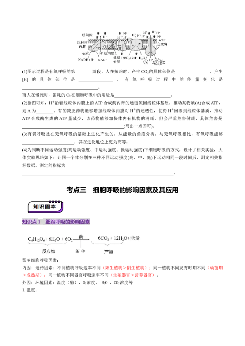 第09讲细胞呼吸（讲义）（原卷版）_2025年新高考资料_一轮复习_2025年高考生物一轮复习讲练测（新教材新高考）
