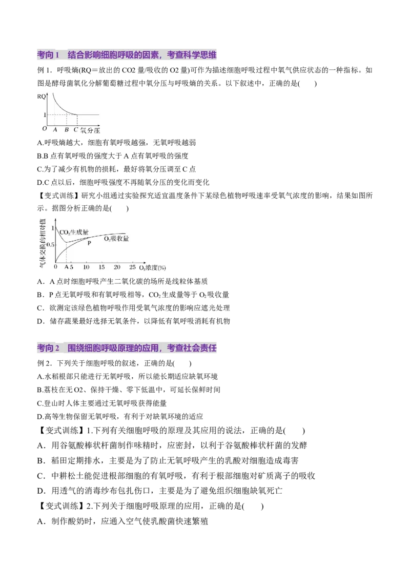 第09讲细胞呼吸（讲义）（原卷版）_2025年新高考资料_一轮复习_2025年高考生物一轮复习讲练测（新教材新高考）