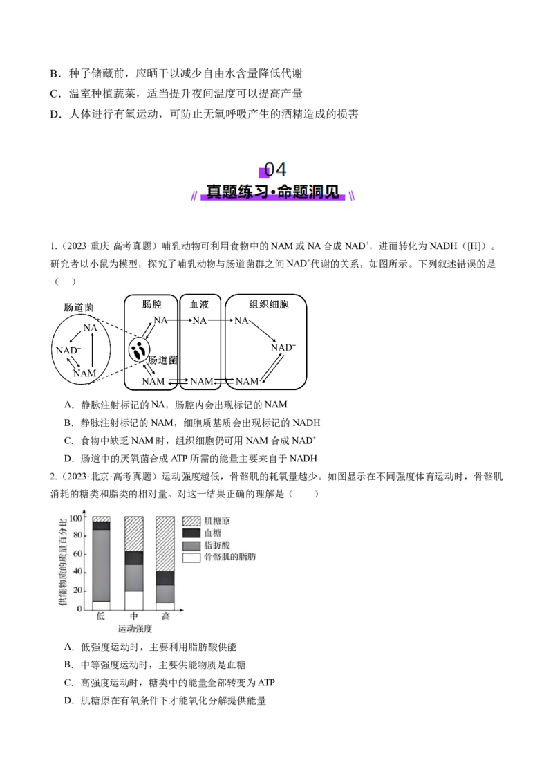 第09讲细胞呼吸（讲义）（原卷版）_2025年新高考资料_一轮复习_2025年高考生物一轮复习讲练测（新教材新高考）