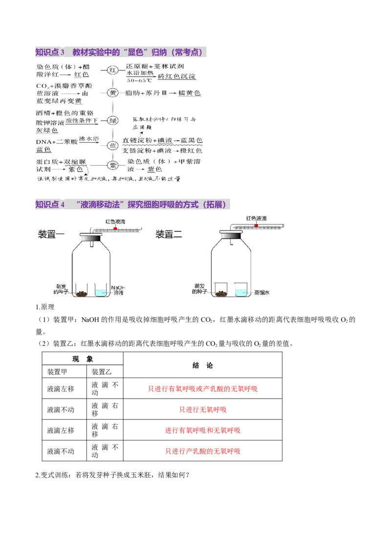 第09讲细胞呼吸（讲义）（原卷版）_2025年新高考资料_一轮复习_2025年高考生物一轮复习讲练测（新教材新高考）