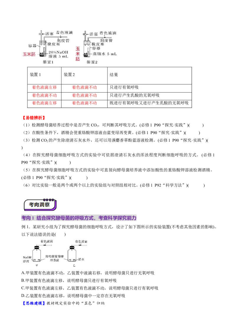 第09讲细胞呼吸（讲义）（原卷版）_2025年新高考资料_一轮复习_2025年高考生物一轮复习讲练测（新教材新高考）