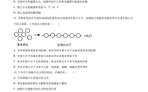 福建省福州市福9联盟校2024-2025学年高一上学期11月期中生物试题Word版无答案_2024年12月试卷_1207福建省福州市福九联盟2024-2025学年高一上学期期11月中考试