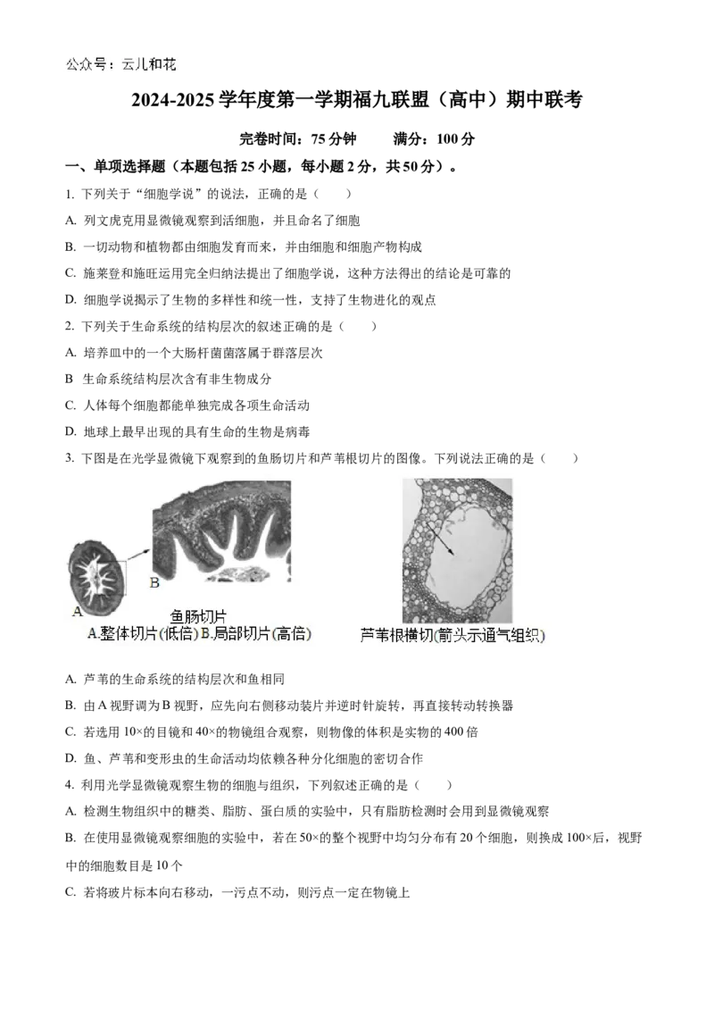 福建省福州市福9联盟校2024-2025学年高一上学期11月期中生物试题Word版无答案_2024年12月试卷_1207福建省福州市福九联盟2024-2025学年高一上学期期11月中考试