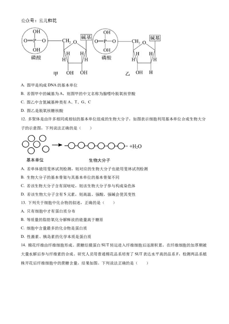 福建省福州市福9联盟校2024-2025学年高一上学期11月期中生物试题Word版无答案_2024年12月试卷_1207福建省福州市福九联盟2024-2025学年高一上学期期11月中考试