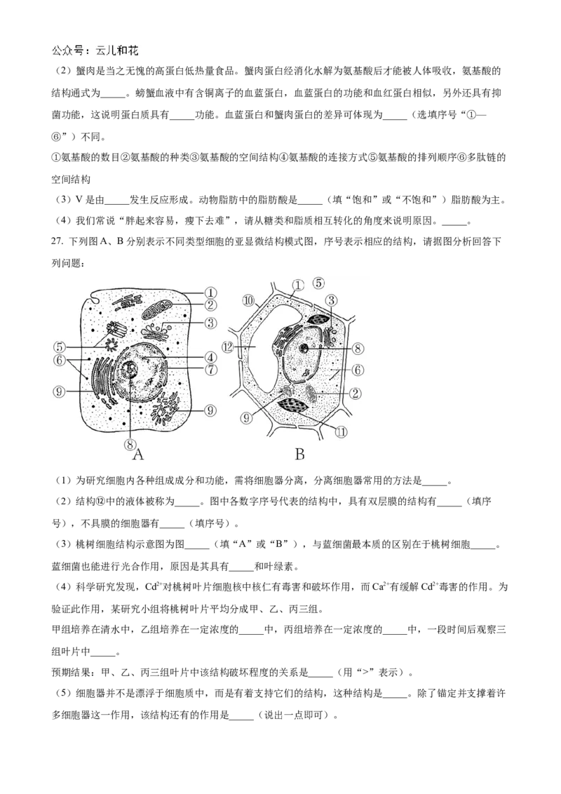 福建省福州市福9联盟校2024-2025学年高一上学期11月期中生物试题Word版无答案_2024年12月试卷_1207福建省福州市福九联盟2024-2025学年高一上学期期11月中考试