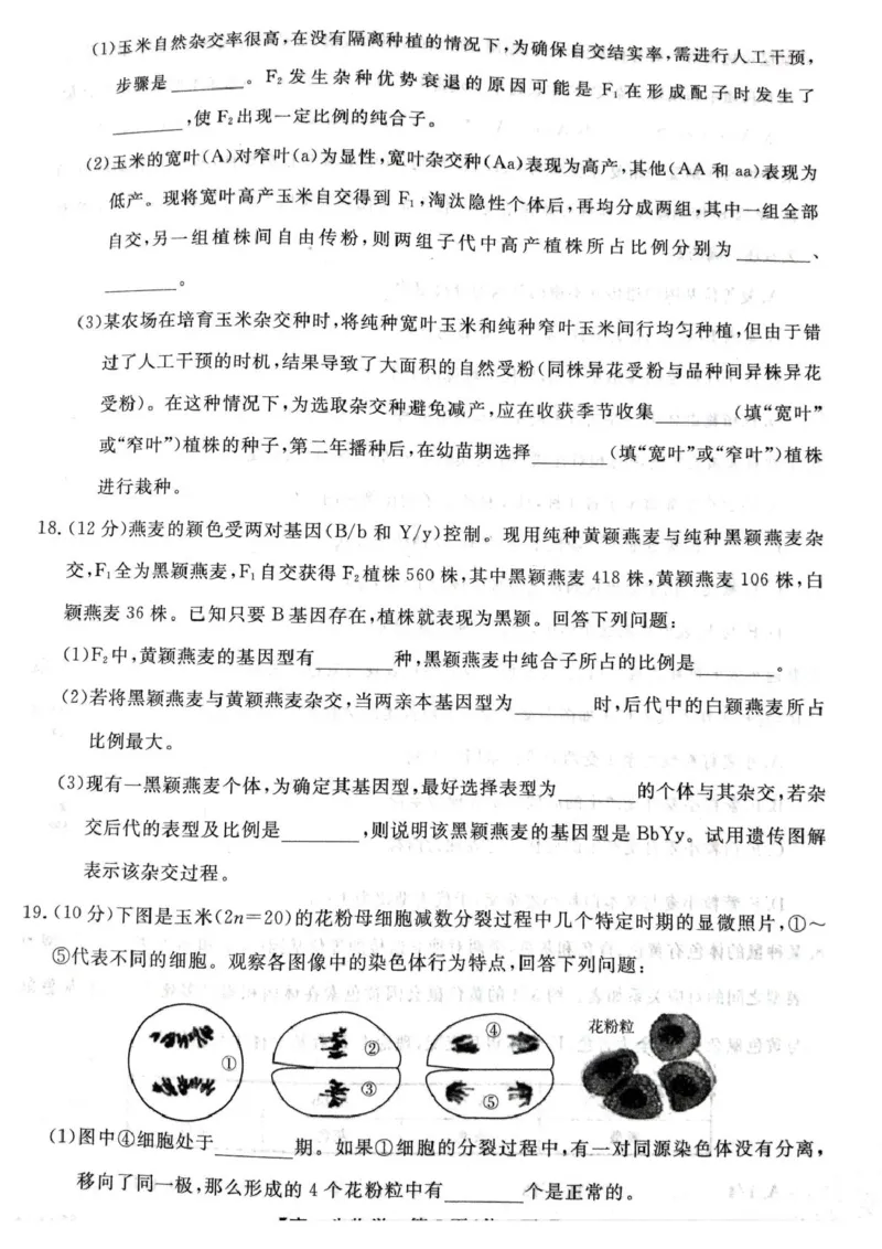生物试卷_2025年04月试卷_0409甘肃省平凉市静宁县静宁县文萃中学2024-2025学年高一下学期4月月考_甘肃省平凉市静宁县文萃中学2024-2025学年高一下学期4月月考生物试题（扫描版有答案）