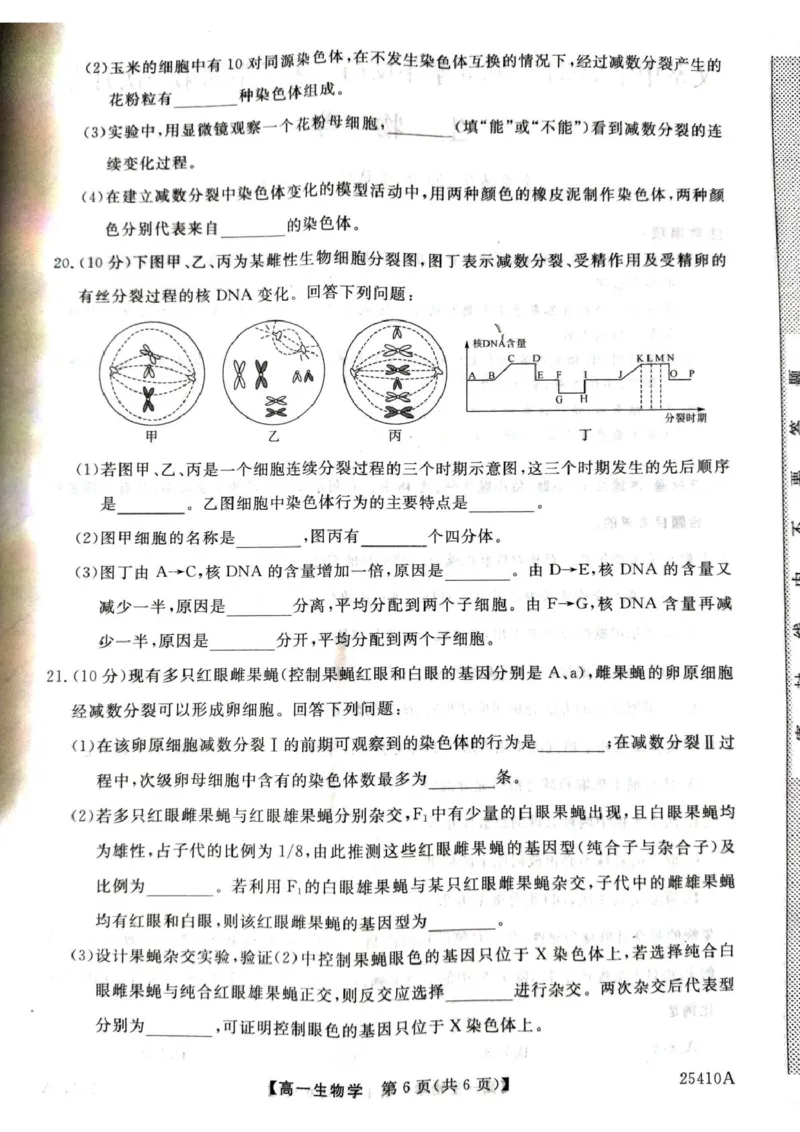 生物试卷_2025年04月试卷_0409甘肃省平凉市静宁县静宁县文萃中学2024-2025学年高一下学期4月月考_甘肃省平凉市静宁县文萃中学2024-2025学年高一下学期4月月考生物试题（扫描版有答案）