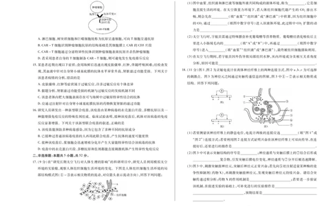 生物学B卷天一大联考&middot;2025-2026学年高二年级阶段性测试（一）_2025年11月高一试卷_251107天一大联考&middot;河南省2025-2026学年高二年级阶段性测试（一）（全）