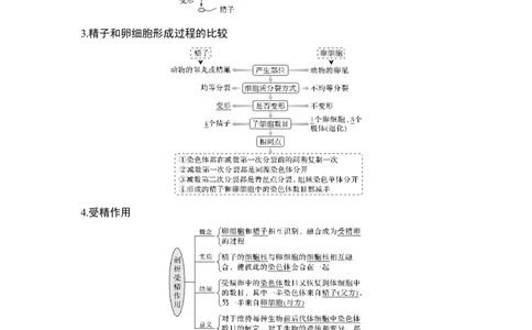 第11讲减数分裂和受精作用_通用版（老高考）复习资料_2023年复习资料_一轮复习_2023年高考生物一轮复习讲义+课件（全国版）_2023年高考生物一轮复习讲义（全国版）_赠补充习题