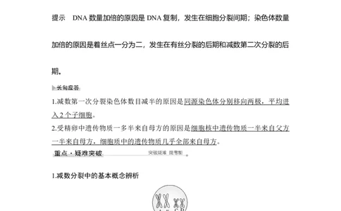 第11讲减数分裂和受精作用_通用版（老高考）复习资料_2023年复习资料_一轮复习_2023年高考生物一轮复习讲义+课件（全国版）_2023年高考生物一轮复习讲义（全国版）_赠补充习题