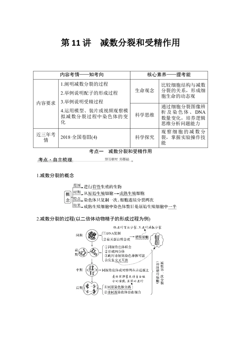 第11讲减数分裂和受精作用_通用版（老高考）复习资料_2023年复习资料_一轮复习_2023年高考生物一轮复习讲义+课件（全国版）_2023年高考生物一轮复习讲义（全国版）_赠补充习题