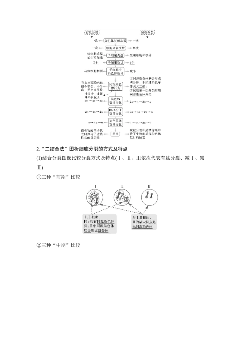第11讲减数分裂和受精作用_通用版（老高考）复习资料_2023年复习资料_一轮复习_2023年高考生物一轮复习讲义+课件（全国版）_2023年高考生物一轮复习讲义（全国版）_赠补充习题