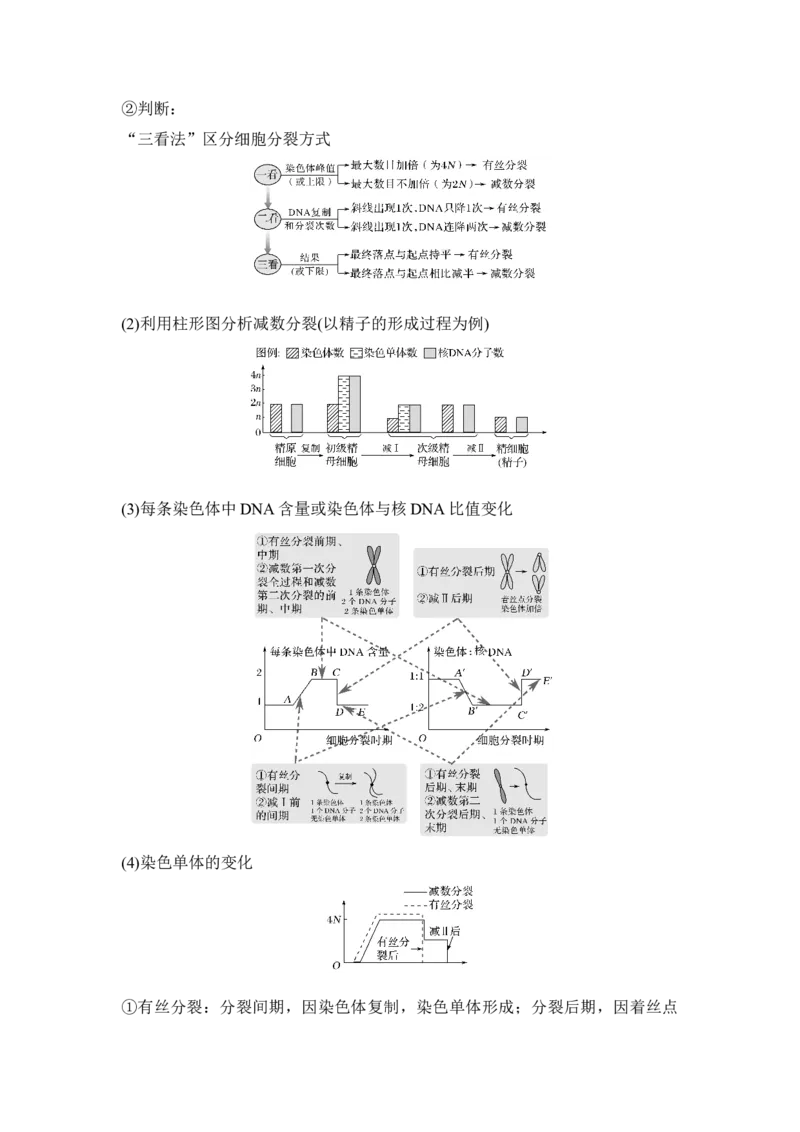 第11讲减数分裂和受精作用_通用版（老高考）复习资料_2023年复习资料_一轮复习_2023年高考生物一轮复习讲义+课件（全国版）_2023年高考生物一轮复习讲义（全国版）_赠补充习题