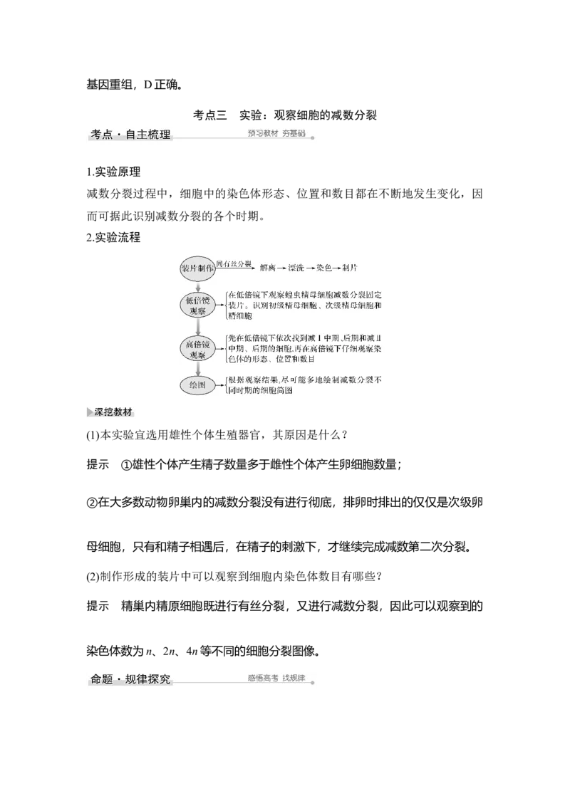 第11讲减数分裂和受精作用_通用版（老高考）复习资料_2023年复习资料_一轮复习_2023年高考生物一轮复习讲义+课件（全国版）_2023年高考生物一轮复习讲义（全国版）_赠补充习题