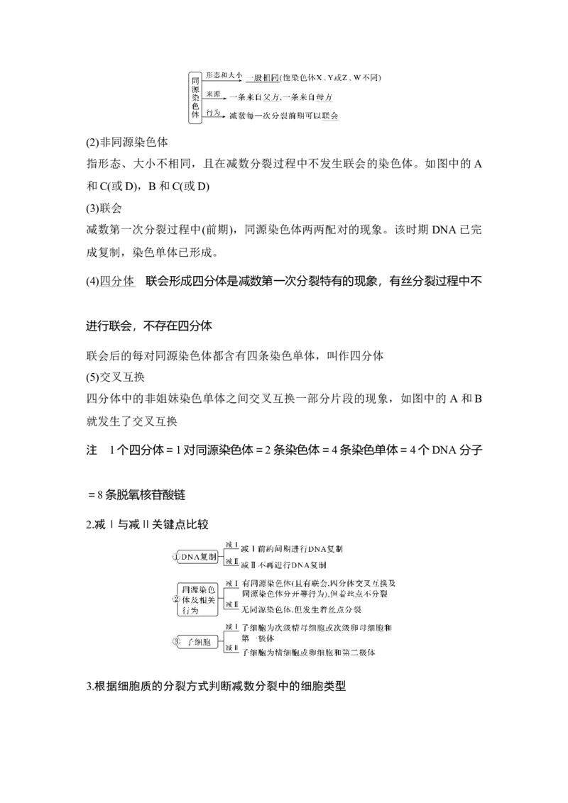 第11讲减数分裂和受精作用_通用版（老高考）复习资料_2023年复习资料_一轮复习_2023年高考生物一轮复习讲义+课件（全国版）_2023年高考生物一轮复习讲义（全国版）_赠补充习题