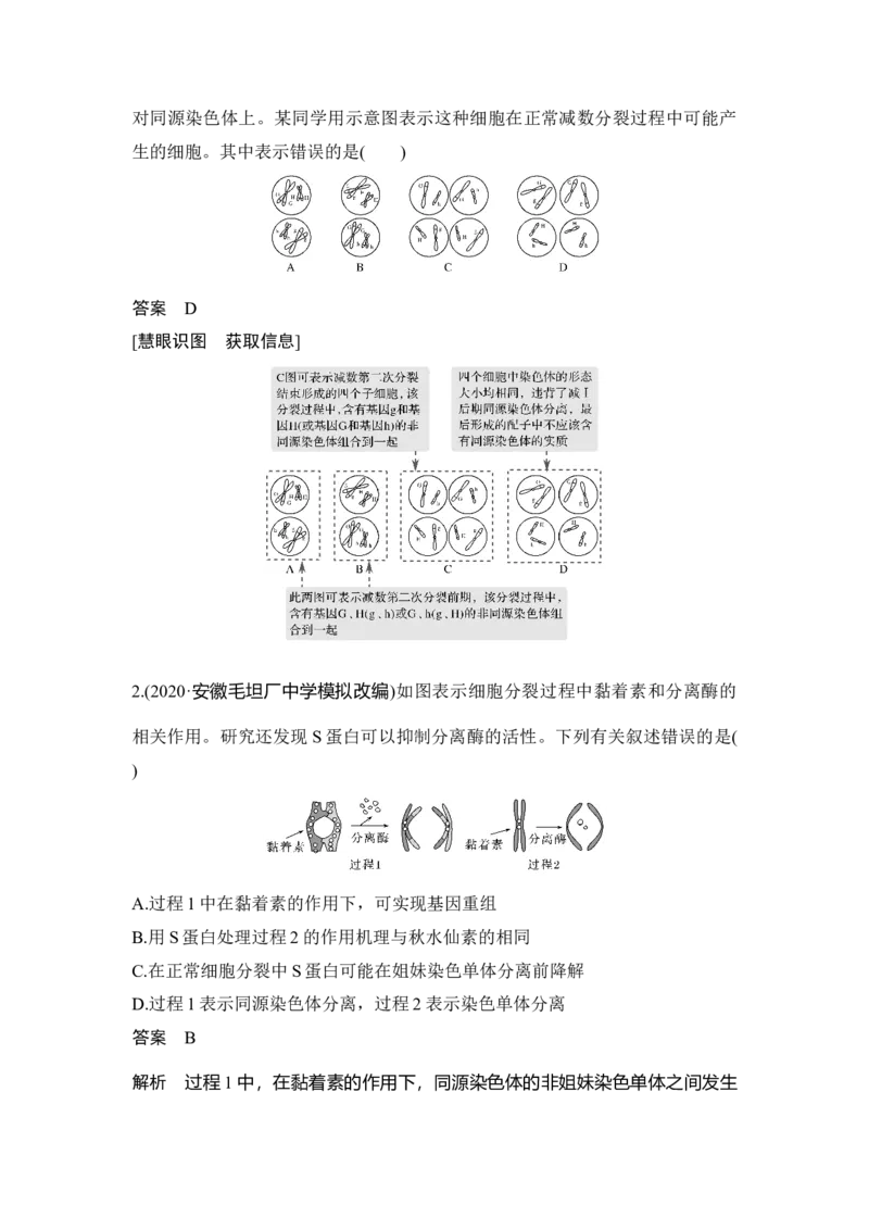 第11讲减数分裂和受精作用_通用版（老高考）复习资料_2023年复习资料_一轮复习_2023年高考生物一轮复习讲义+课件（全国版）_2023年高考生物一轮复习讲义（全国版）_赠补充习题