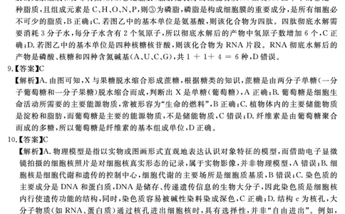 生物学答案_2025年11月高一试卷_251127安徽省2025-2026学年度&ldquo;耀正优+&rdquo;高一年级（上）期中学情检测（全）_&ldquo;耀正优+&rdquo;高一期中答案（2025.11.20-21）