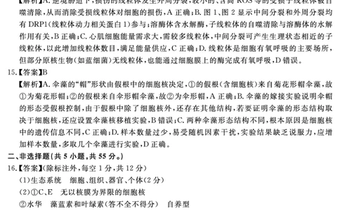 生物学答案_2025年11月高一试卷_251127安徽省2025-2026学年度&ldquo;耀正优+&rdquo;高一年级（上）期中学情检测（全）_&ldquo;耀正优+&rdquo;高一期中答案（2025.11.20-21）