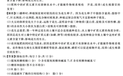 生物学答案_2025年11月高一试卷_251127安徽省2025-2026学年度&ldquo;耀正优+&rdquo;高一年级（上）期中学情检测（全）_&ldquo;耀正优+&rdquo;高一期中答案（2025.11.20-21）