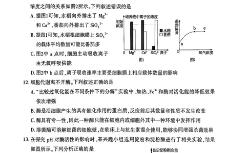 生物试卷_2026年02月高一试卷_260213河南省洛阳市2025-2026学年高一上学期2月期末考试（全）_河南省洛阳市2025-2026学年高一上学期2月期末考试生物试题含答案